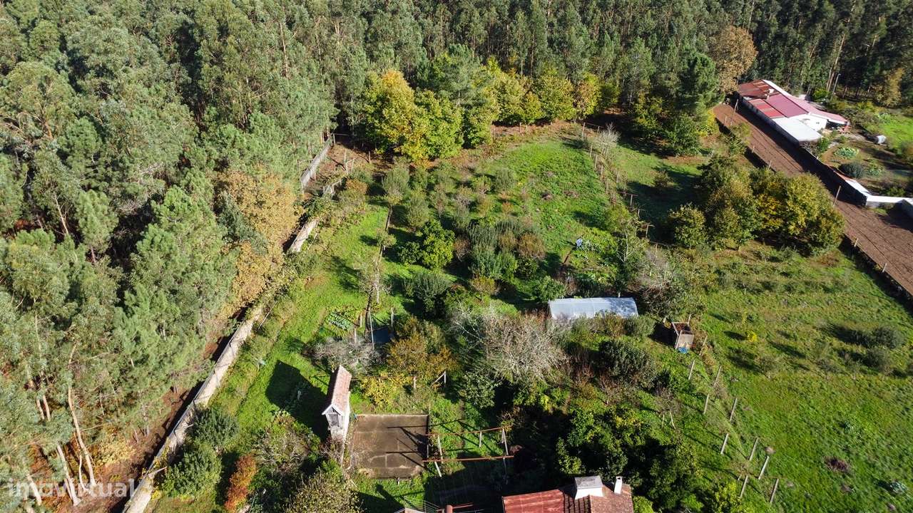 Moradia Isolada T2 Venda em Lobão, Gião, Louredo e Guisande,Santa Mari-12