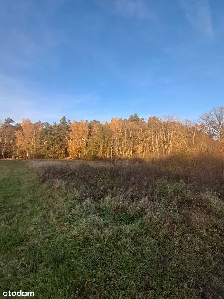 Działka budowlana z warunkami o pow. 1400m2, Dzierzbin – gm. Mycielin-2