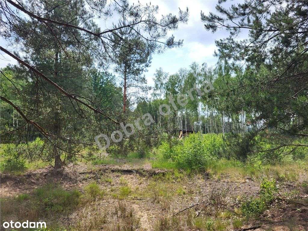 Nowa oferta - dobra cena - miejsce na wypoczynek-5