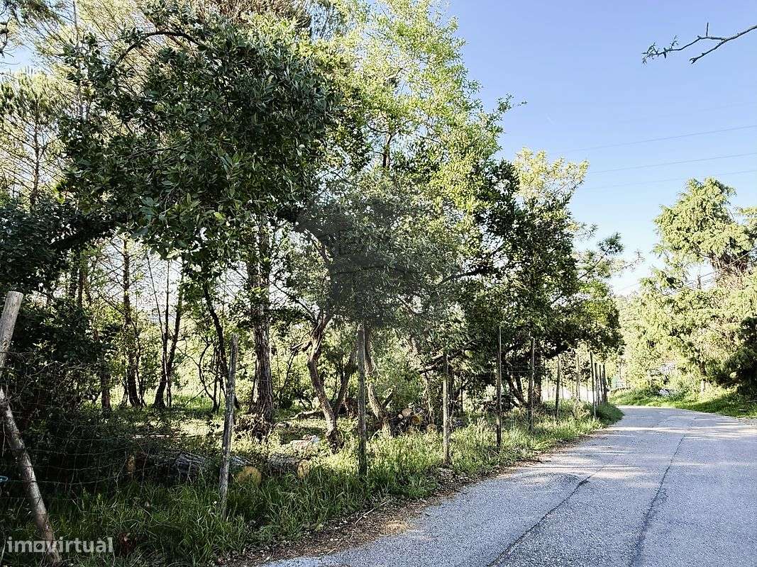 Terreno  para venda-4