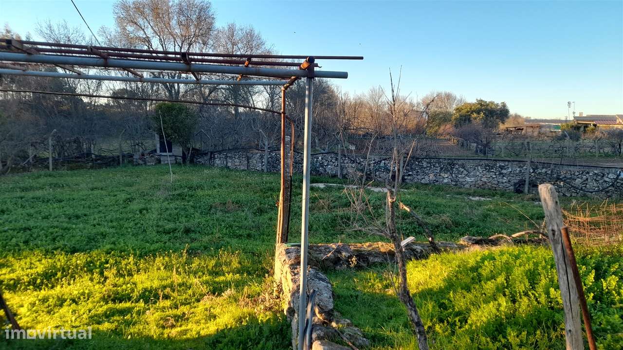 Quintinha  Venda em Escalos de Baixo e Mata,Castelo Branco - Grande imagem: 2/29