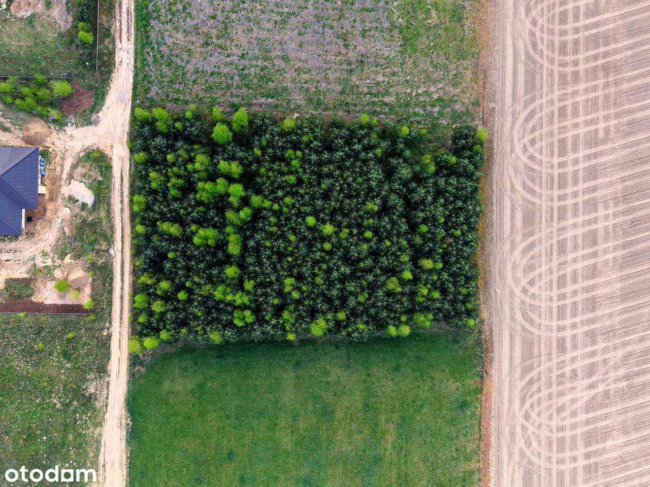 Zamieszkaj wśród drzew i jezior – 3233 m² ciszy dz. budowlana-8