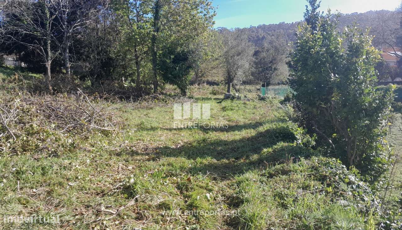 Venda de Terreno com vistas mar em Afife, Viana do Castelo - Grande imagem: 4/31