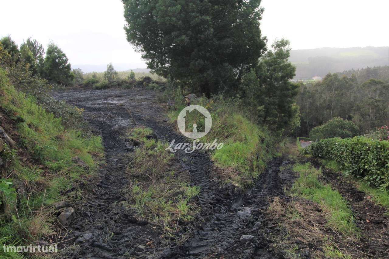 Terreno agrícola com 8.397m2 em Vilarinho das Cambas - Grande imagem: 4/8