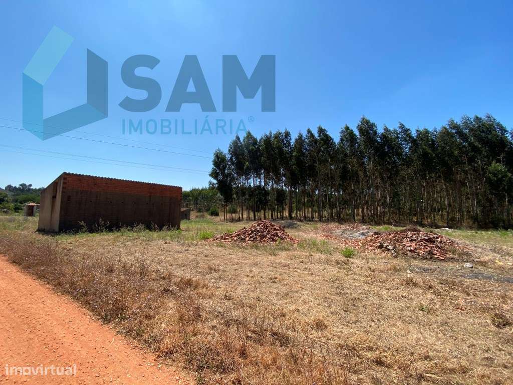 Refúgio no Campo: Casa Antiga com Terreno Plano e Eucaliptos - Grande imagem: 5/8