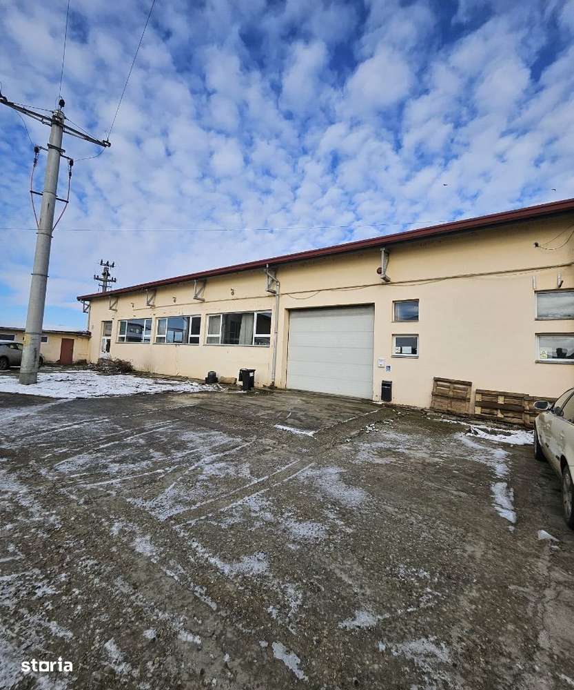 Hală de Închiriat în Sălard – Ideală pentru Producție! - Imagine principală: 2/13