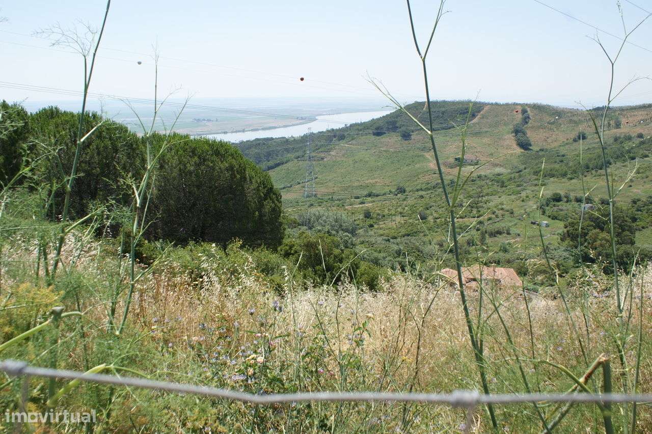 Terreno em Vila Franca de Xira (VFX006) - Grande imagem: 3/4