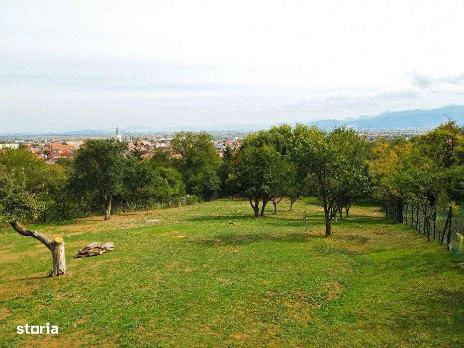 Teren Intravilan 3290 mp Codlea 3 Parcele - Imagine principală: 5/8