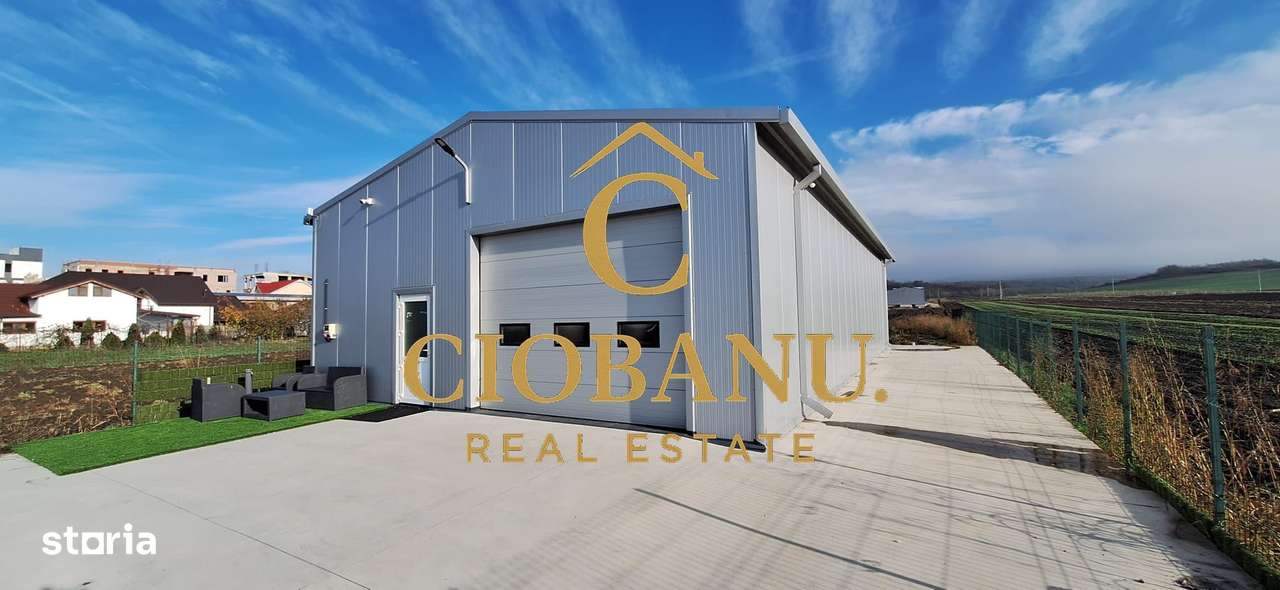 Hala de vanzare in Racarii de Jos-3