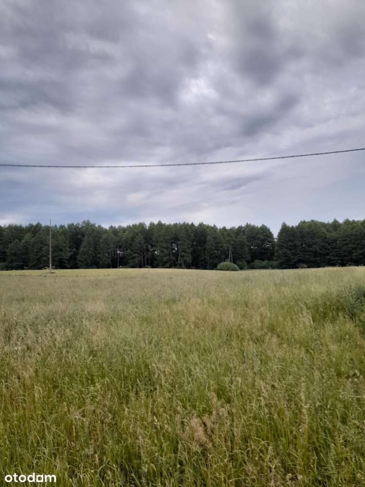 Działki w Chroślu. - Pełny obrazek: 2/5