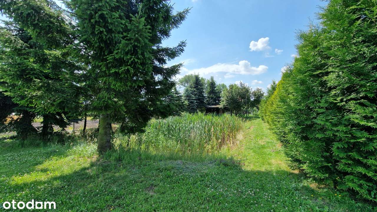 DOM JEDNORODZINNY Z DUŻĄ DZIAŁKĄ I STAWEM – MAŁYSZYN, GM. WIELUŃ-16