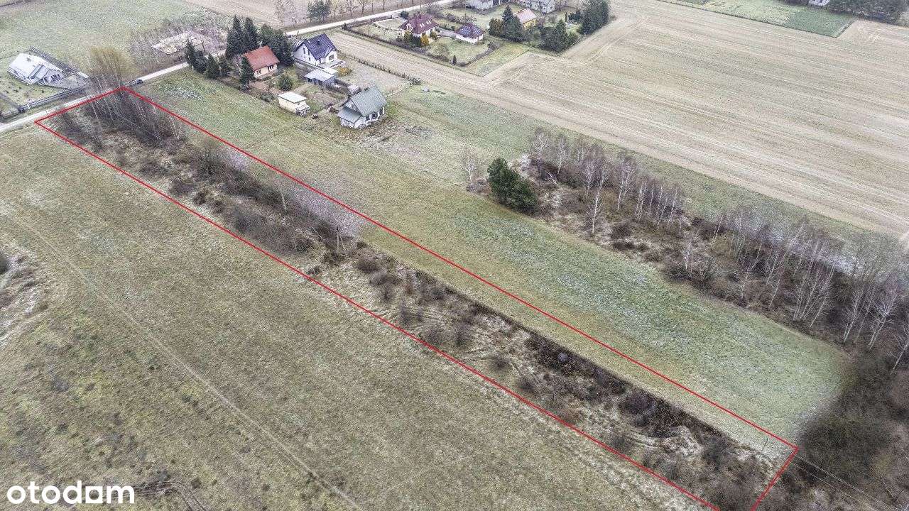 Brzóze, działka 6423m2 - Pełny obrazek: 5/8