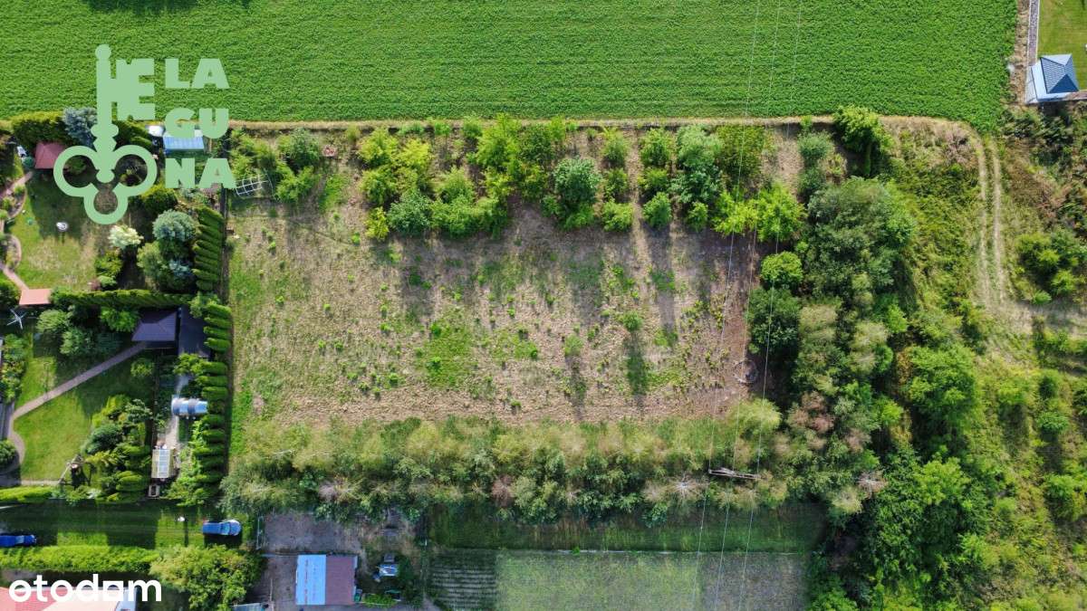 Działka budowlana ul. Grunwaldzka-1