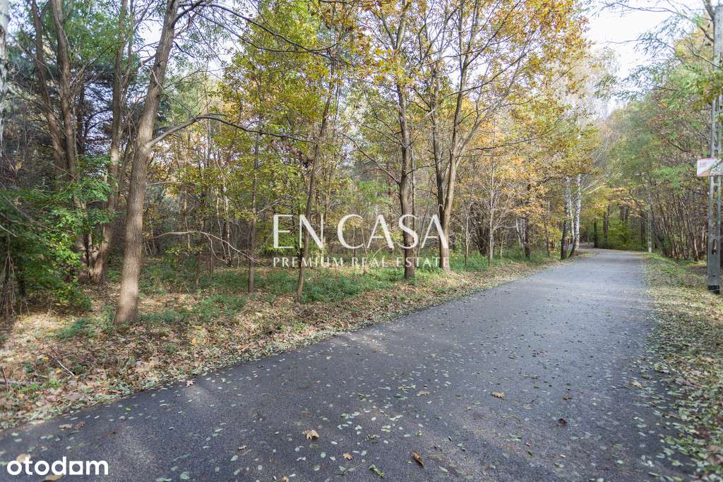 Działka pod zabudowę jednorodzinną i usługową - Pełny obrazek: 3/6