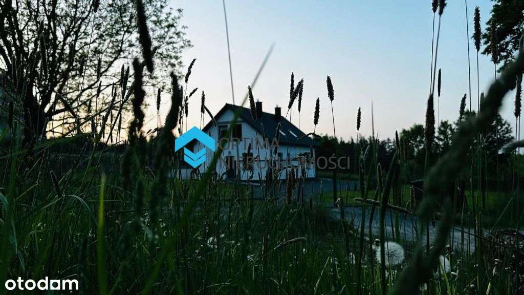 Gotowy biznes, dom dla rodziny lub inwestycja-6