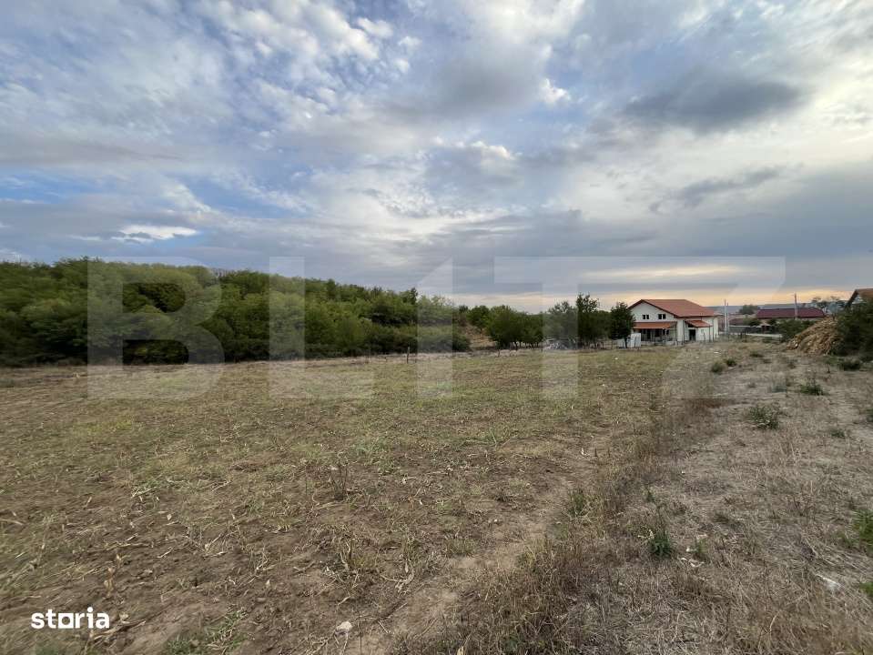 Teren in Filiasi 1000 mp / 30 ml front, toate utilitatile - Imagine principală: 2/6