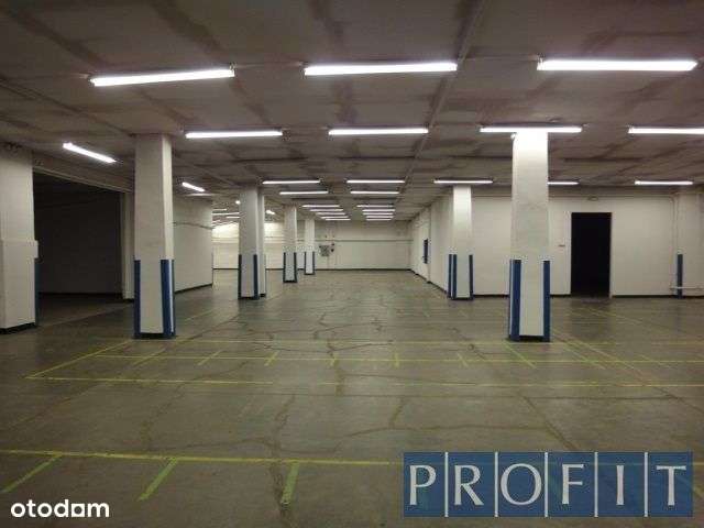 działka o pow. 4000m2 hala 830m2 - Pełny obrazek: 4/7