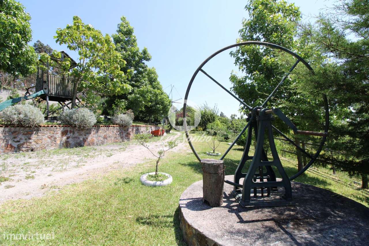 Quintinha com 28.710m2 em Ribeirão - Grande imagem: 4/23