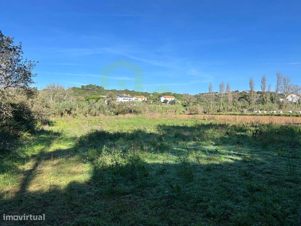 Vende Terreno - Ericeira, A Casa das Casas - Grande imagem: 4/5