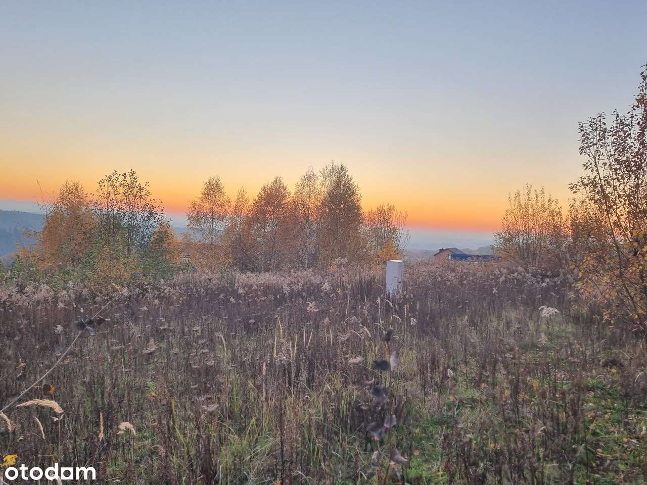 PANORAMICZNA DZIAŁKA na Babią Górę i Tatry-1