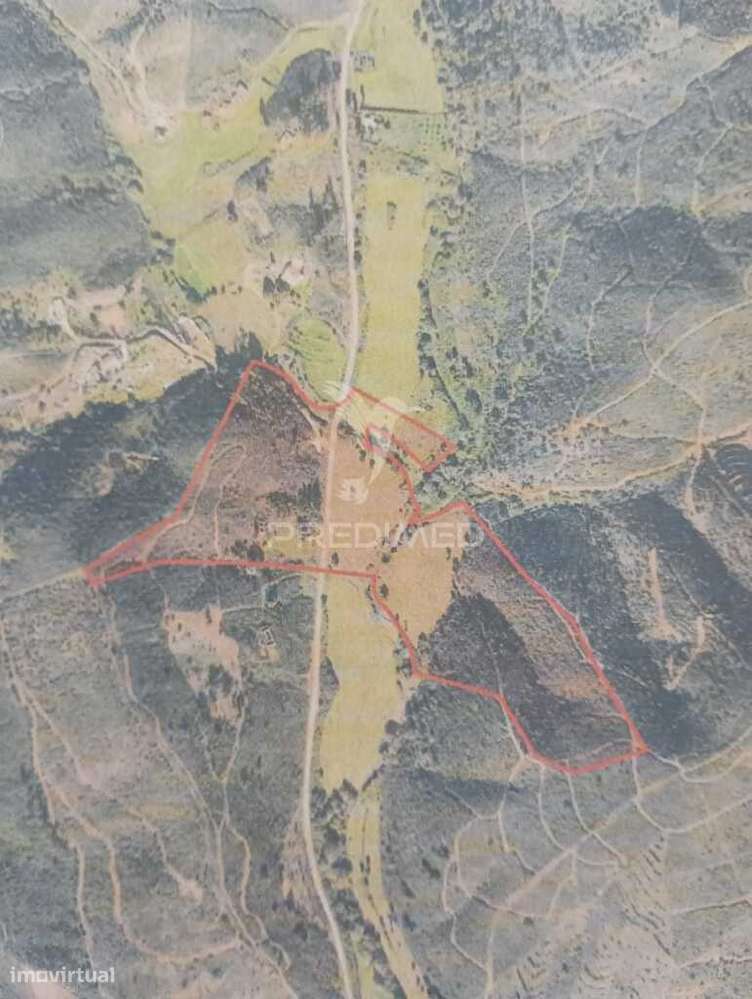 Terreno com Ruina Tojeiro - Grande imagem: 5/5