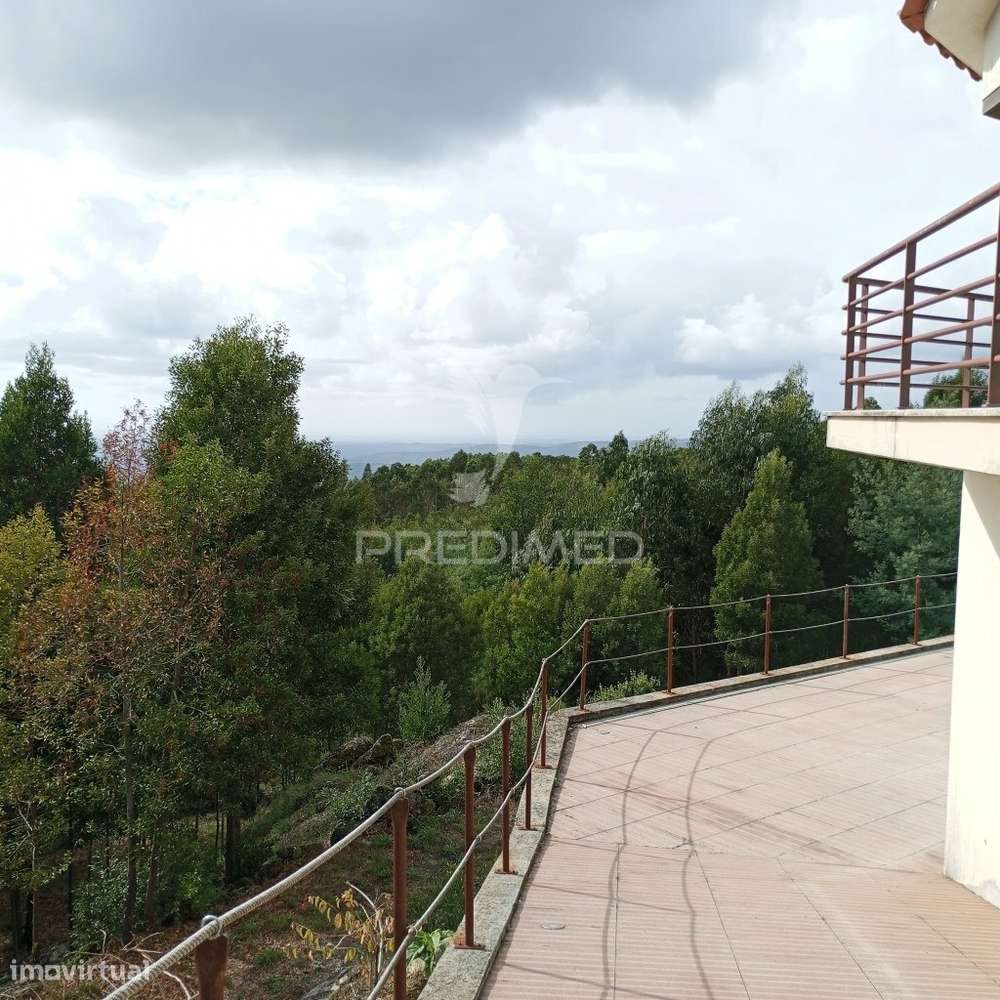 Quinta T4 - Grande imagem: 4/36