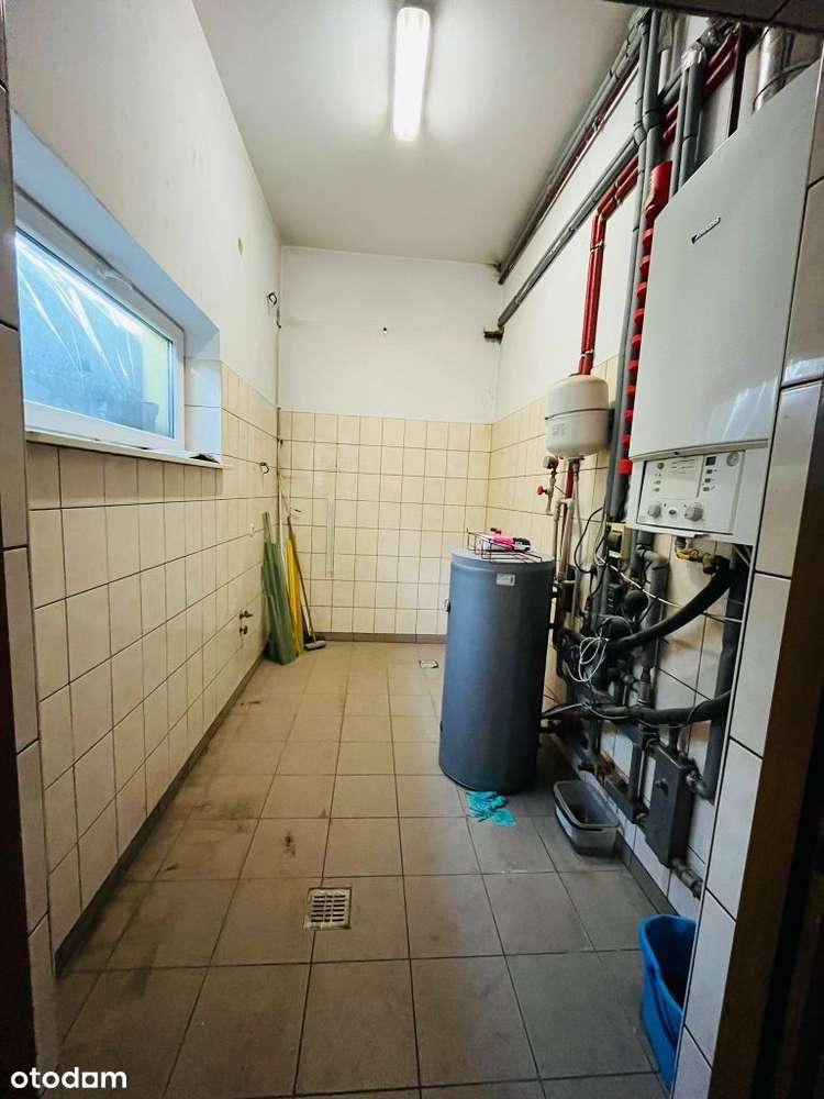 Hala produkcyjno magazynowa, 300m2, Brzostek, DK73 - Pełny obrazek: 4/15