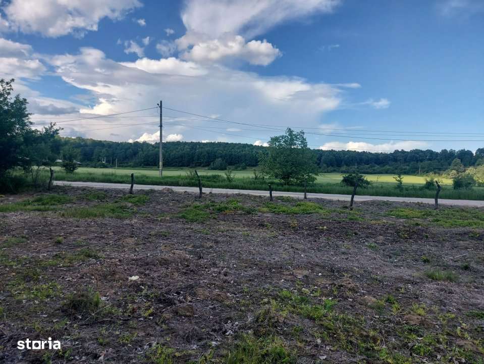 Teren intravilan 1843 mp - Cerbu/Albota/Arges - cu proiect de casa pe - Imagine principală: 3/8