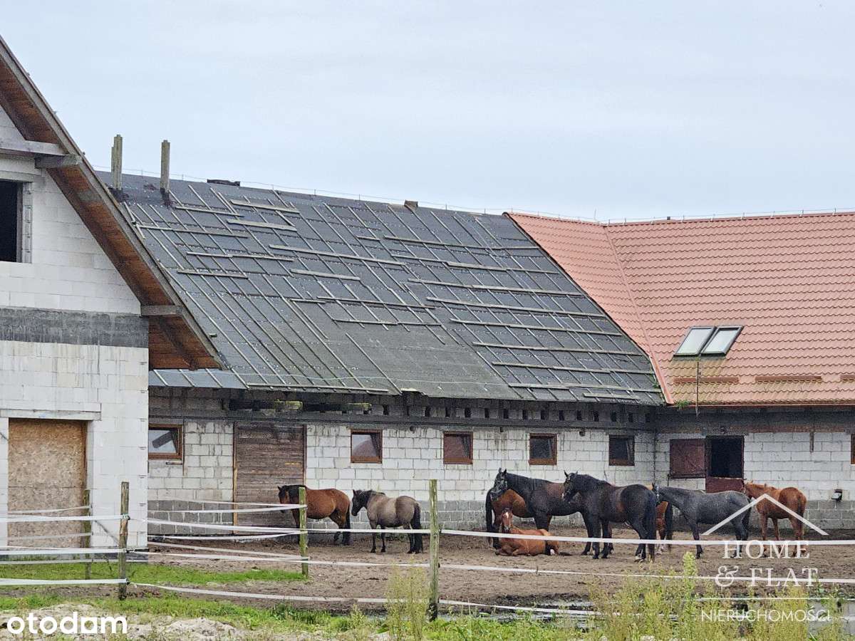 Działka Budowlana blisko morza-12