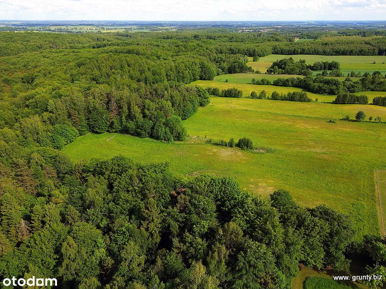 Oaza na Wzgórzach Dylewskich - Pełny obrazek: 4/10