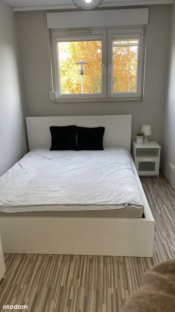 Komfortowe mieszkanie do wynajęcia - Pełny obrazek: 5/16