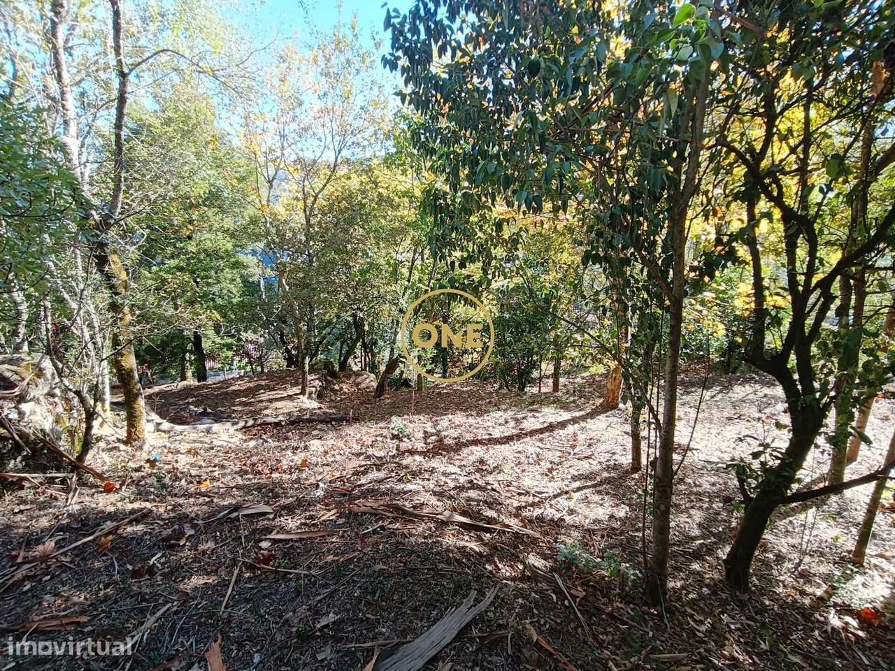 Terreno c/ projeto aprovado em Valdozende - Terras de Bouro - Grande imagem: 5/26