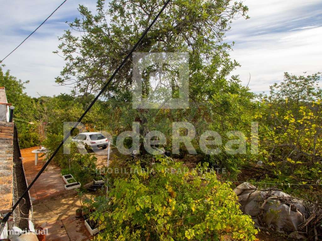 Moradia com 1. 556 hectares com furo e água da rede-14