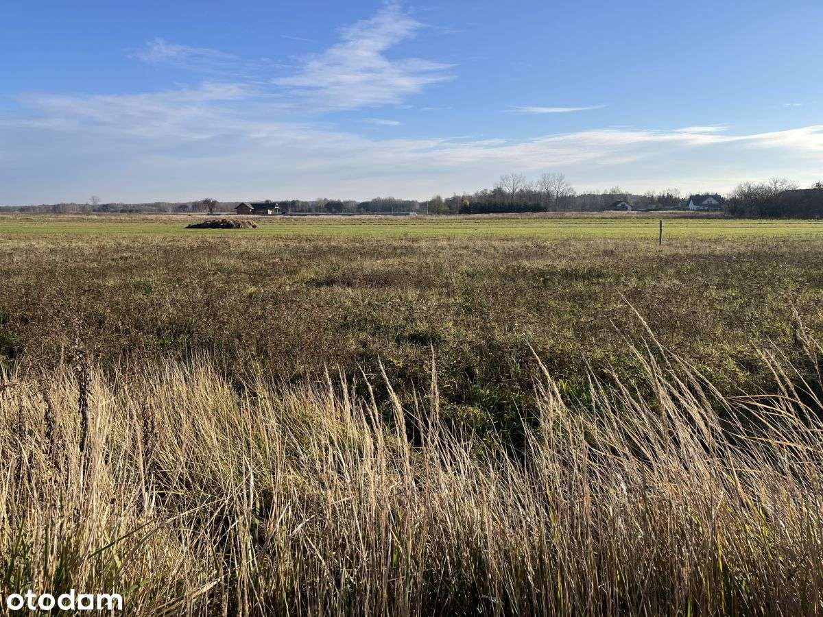 5 działek o pow. 1000m2, Wydrzyn - Pełny obrazek: 2/3