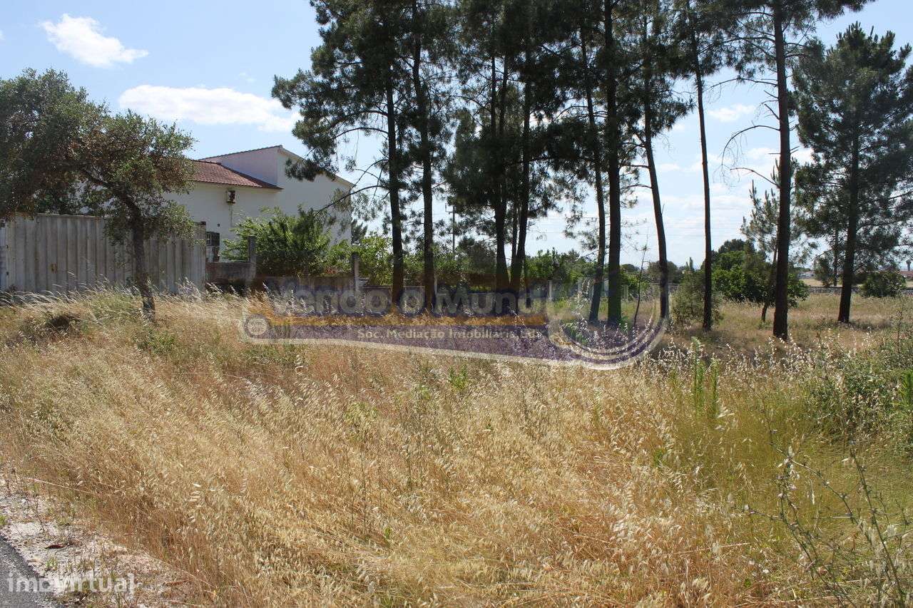 Terreno em Marinhais (M417) - Grande imagem: 5/15