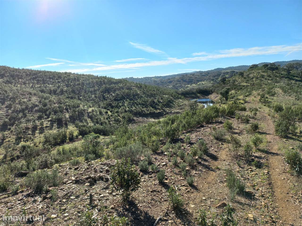 Terreno Rústico  Venda em Santa Clara-a-Nova e Gomes Aires,Almodôvar-13