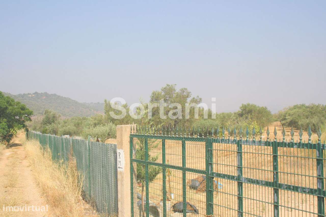Terreno Rústico  Venda em Loulé (São Sebastião),Loulé - Grande imagem: 3/3