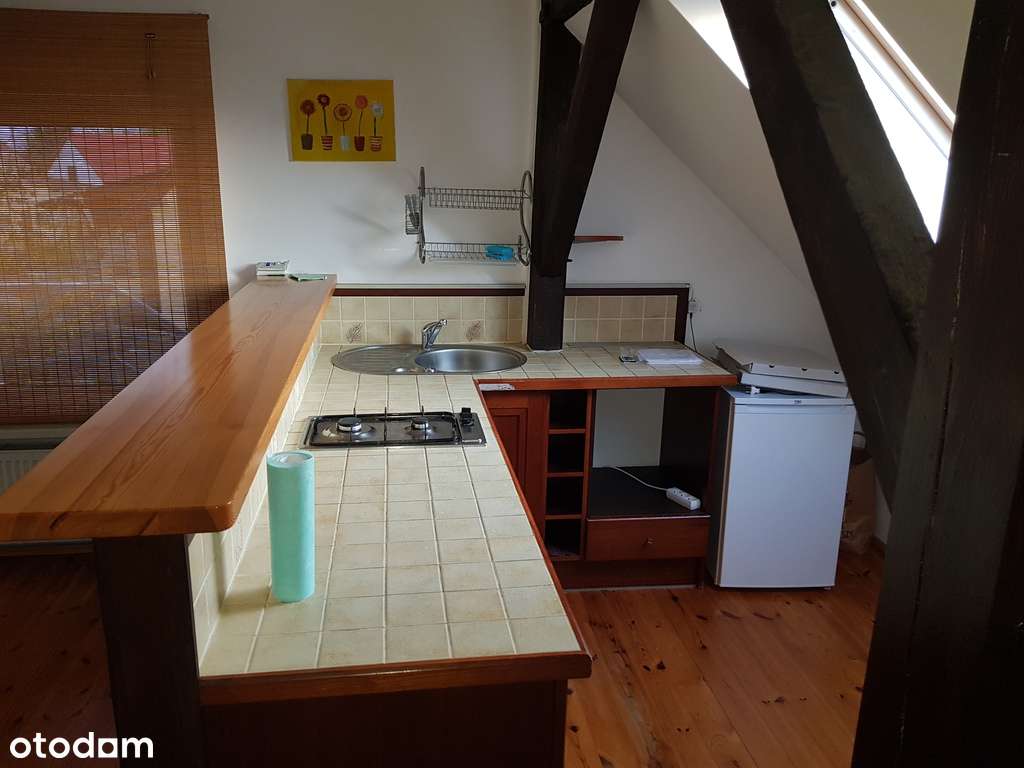 Dom Kaźmierz - duży ogród-9