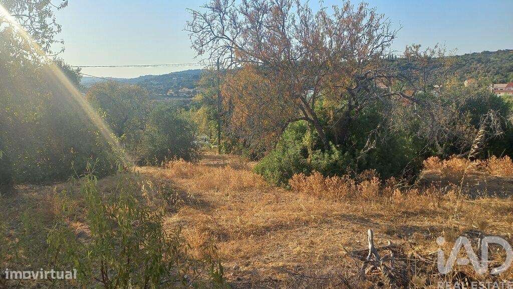 Terreno em Loulé (São Clemente) - Grande imagem: 4/12
