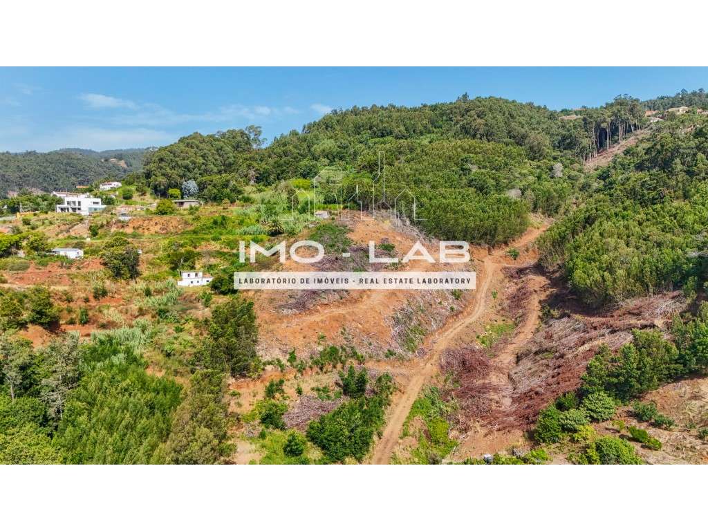 Terreno 9570m2 - Santa Cruz - Vista Mar - Grande imagem: 4/17