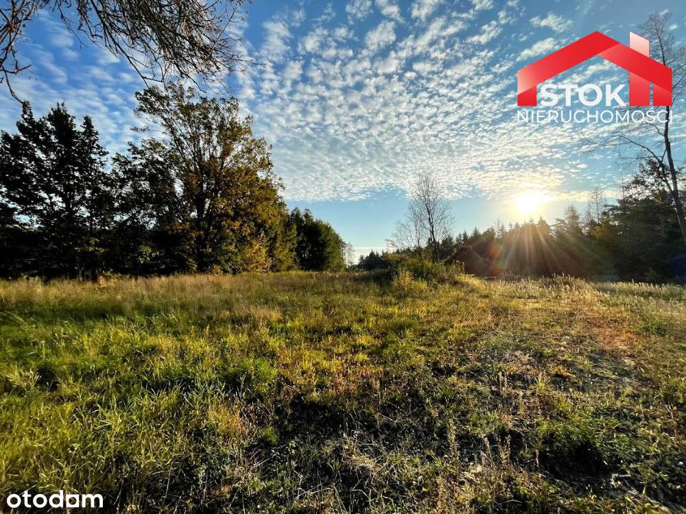 Atrakcyjna działka budowlana w otoczeniu lasu-0