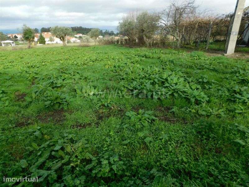 Terreno / Gouveia, Gouveia - Grande imagem: 2/16