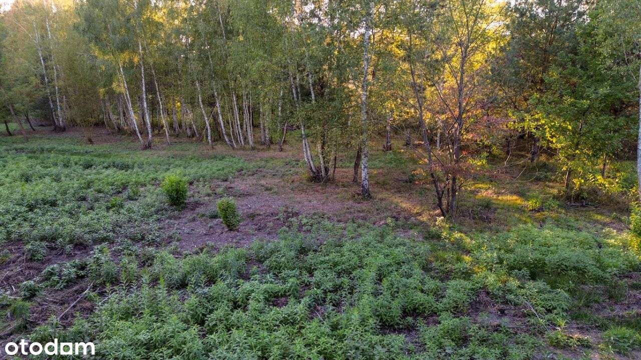 Atrakcyjna DZIAŁKA inwestycyjna, CENTRUM WWA-30min-5