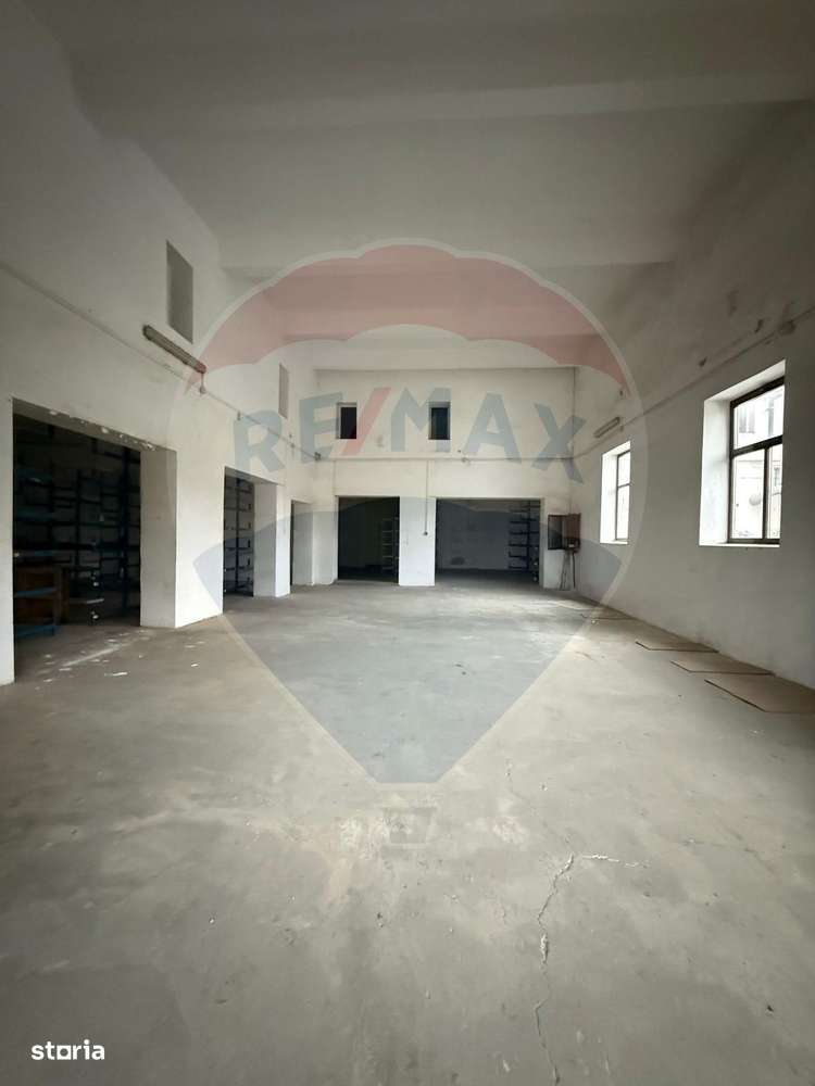 Hala - zona KAUFLAND Burdujeni-4