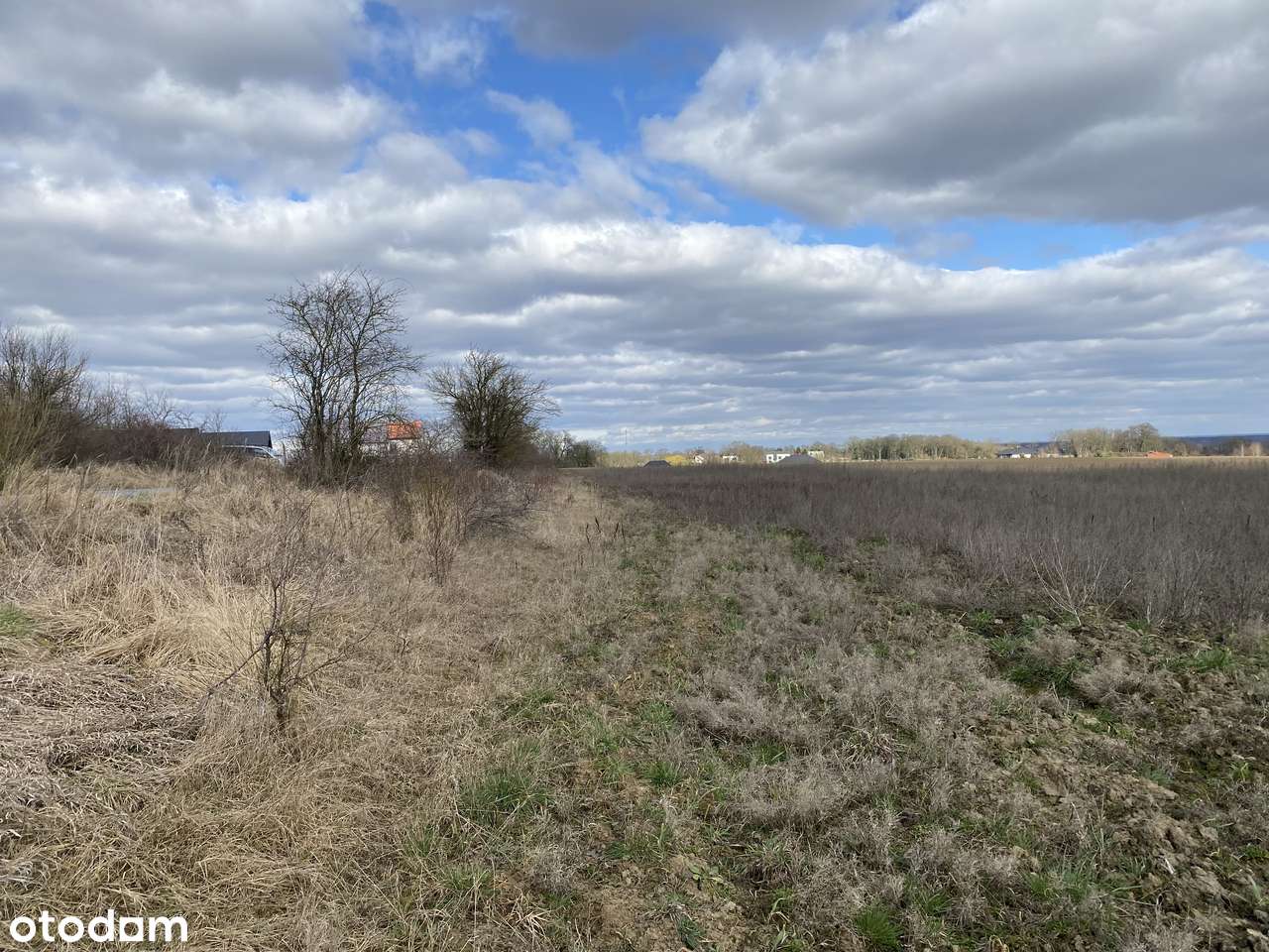 OKAZJA ! Działki Na Sprzedaż w m. Siadło Dolne-13