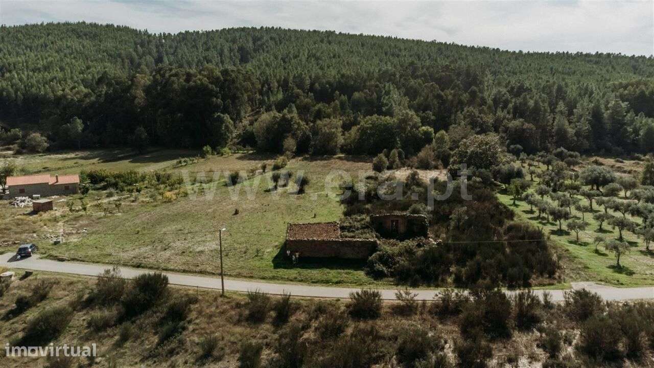 Terreno / Fundão, Enxames - Grande imagem: 5/12