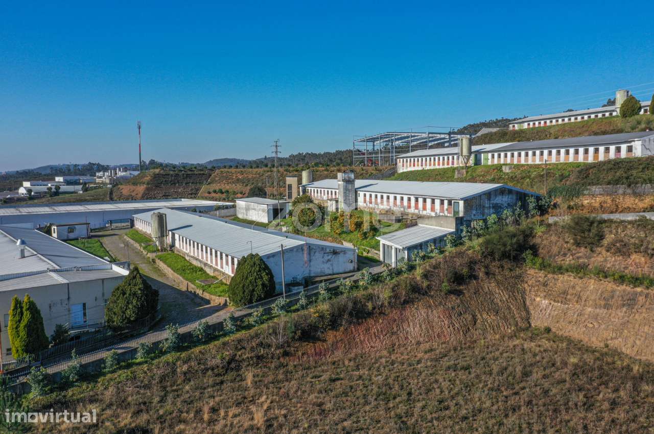 5 Pavilhões em Agrela, Santo Tirso - Grande imagem: 5/39