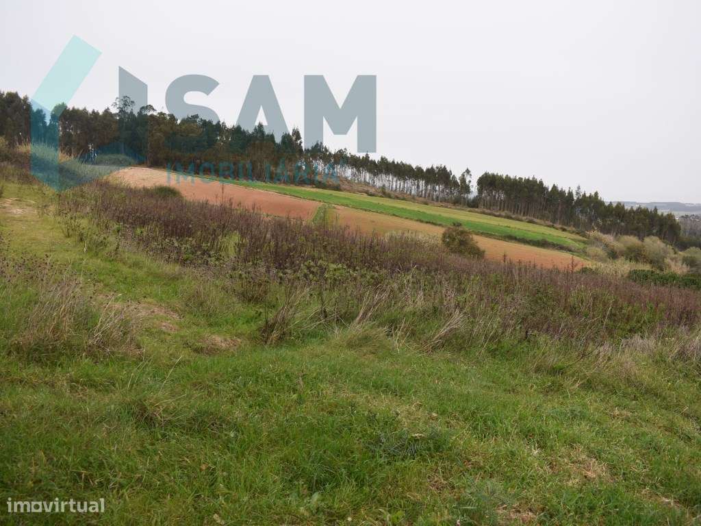 Terreno Rústico - Grande imagem: 5/9