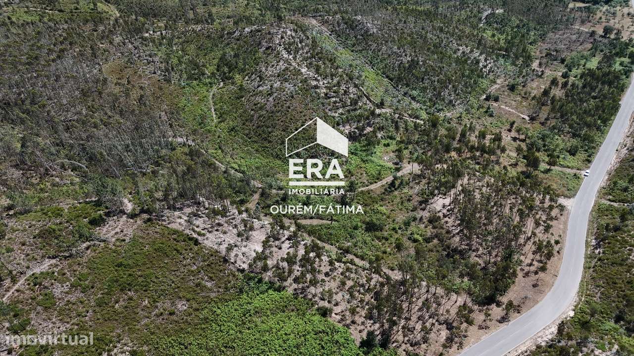 Terreno Florestal em Matas, Ourém-5