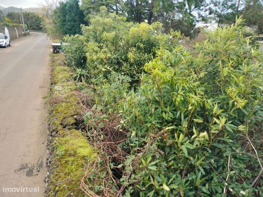 Invista no paraíso: terreno em Porto Martins, Ilha Terceira - Grande imagem: 5/15